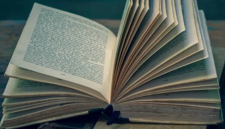 EngLiteratureGuru - Best English Literature Study Guides and Modern Poetry Analysis